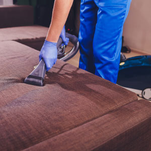 Lee más sobre el artículo La importancia de la limpieza y desinfección de tapizados